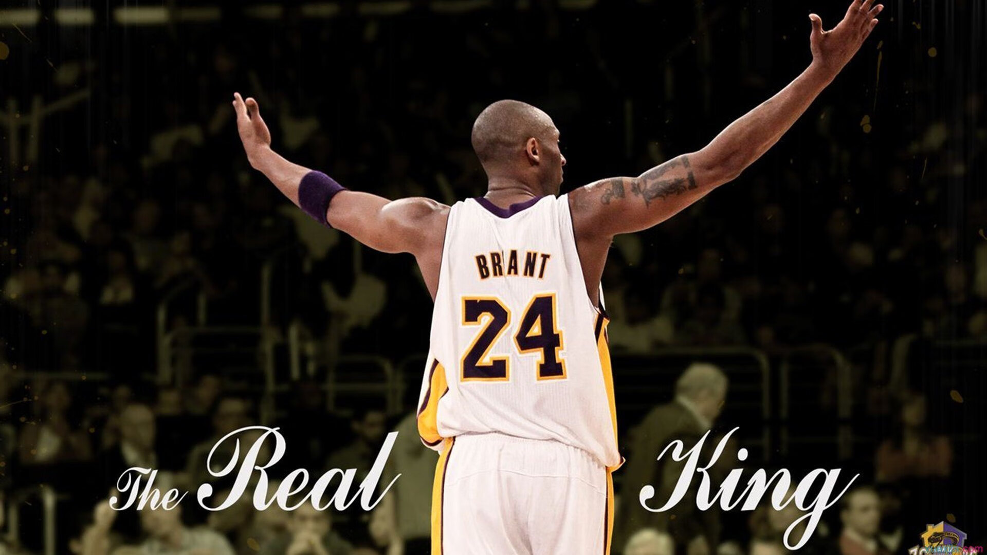 开云官网-美加墨世界杯焦点战前瞻，魔术强势拿下独行侠，新势力崛起与战术革命的交响